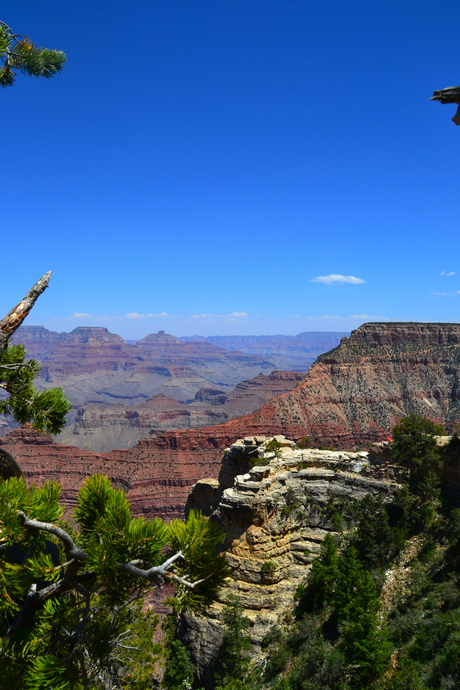 Grand Canyon