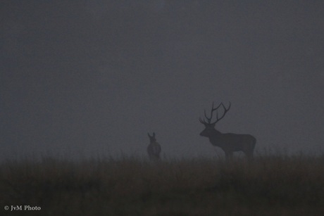 Bronst in Deelerwoud