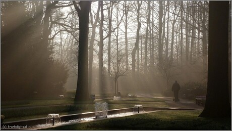 Keukenhof-mystiek