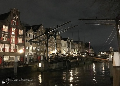 Dordrecht tijdens Dwaalspoor