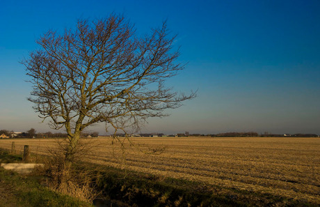 Winterlandschap