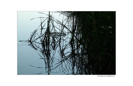 Riet Balaton