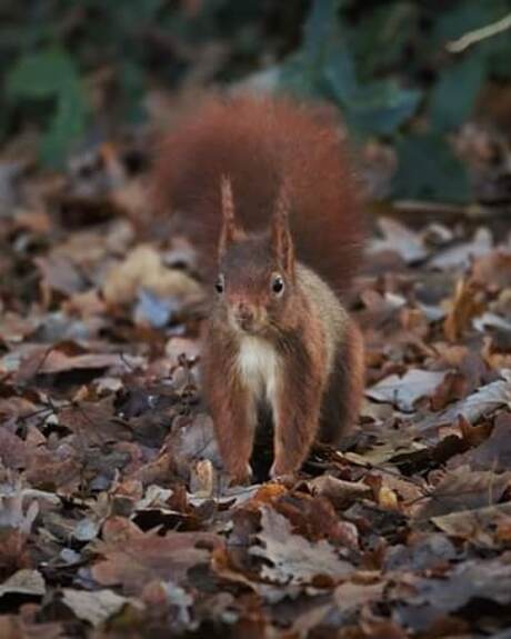 IMG_20191216_214835_055