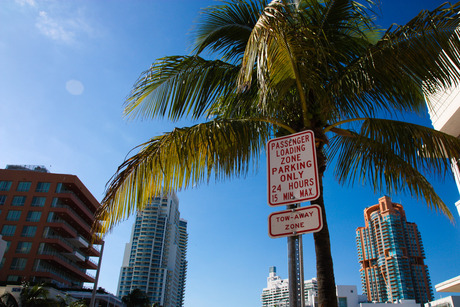 Skyline MIAMI