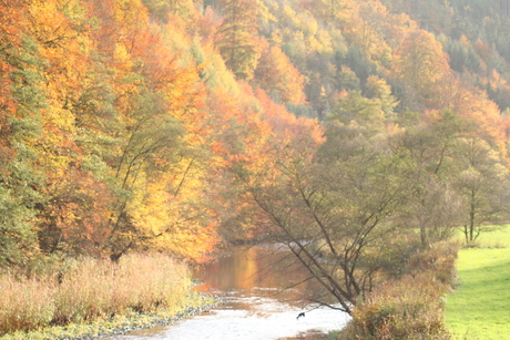 Hersft in Sauerland