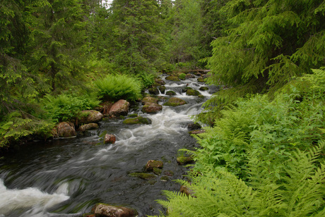 Fulufjallets Nationalpark