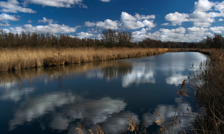 Lente in flevoland