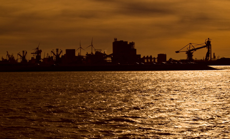 Hoek van Holland