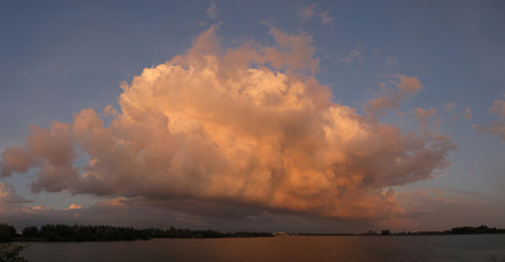 Stratocumulus cumulogenitus (Cl4)