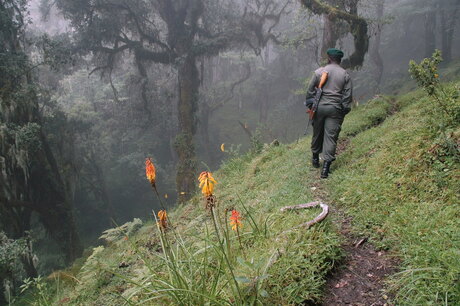 Mount Meru