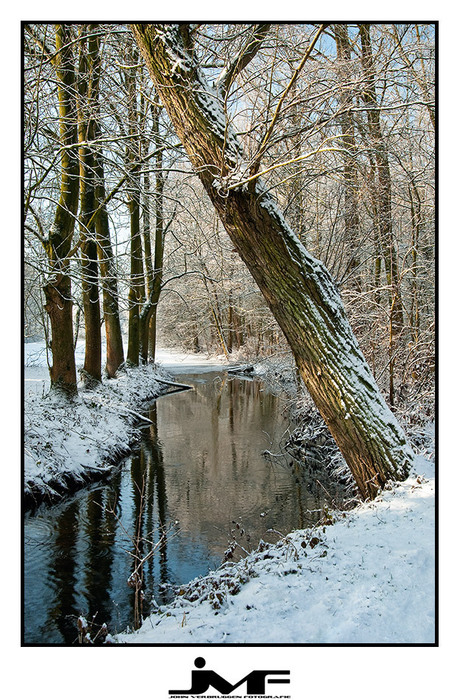 Winters doorkijkje