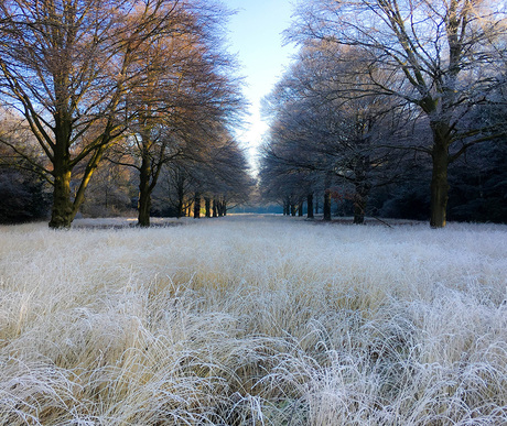 Arboretum Esbeek