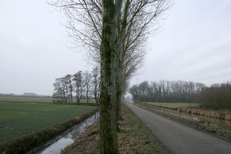 Landschap