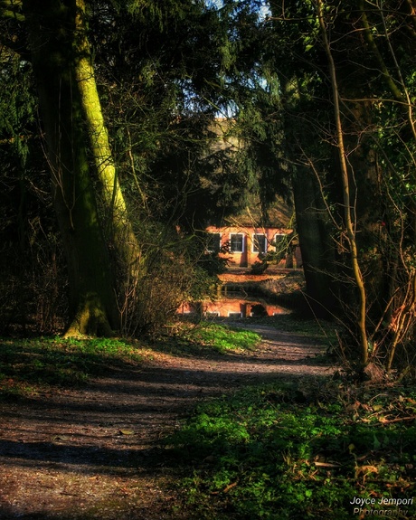 House in the forest