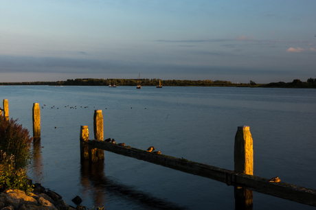 onedrgaande zon bij het Lauwersmeer