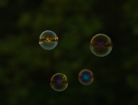Zeepbellen van scherp naar wazig