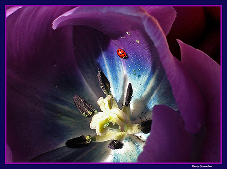 Eten of gegeten worden