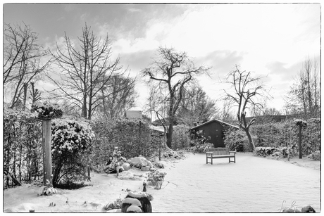 Winter in de tuin