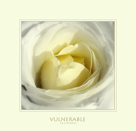 Vulnerable...