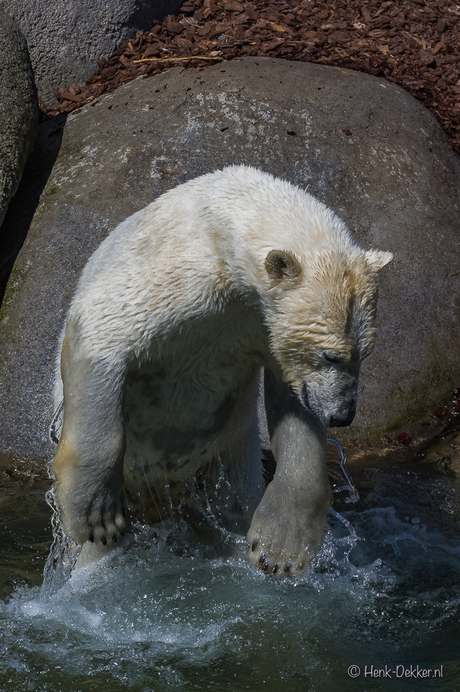 2017-05-26-Henk-Dekker.nl-243