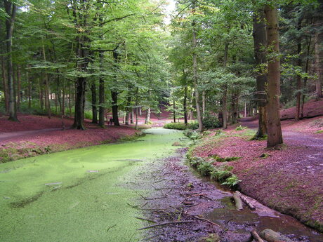 Postbank (veluwe)