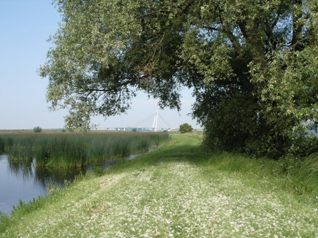 Eilandbrug bij Kampen
