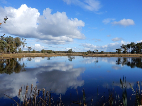 Wolken in de lucht en in het water