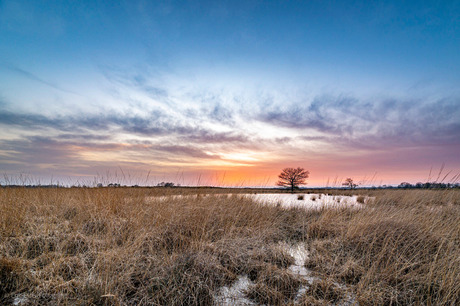 Zonsondergang Dwingelderveld