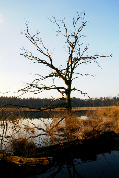 Vennetje