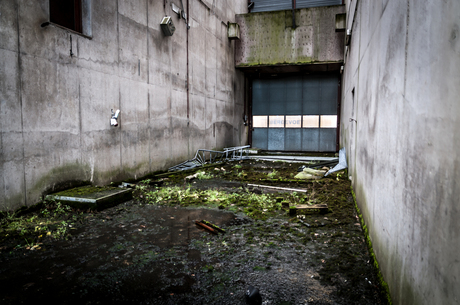 Urbex Mossed Alley