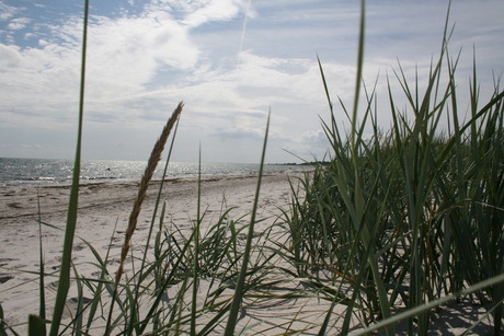 Beach Falsterbo