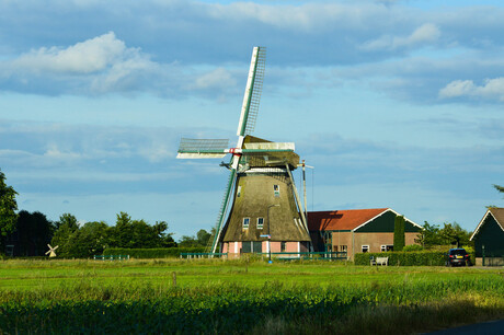 Korenmolen, Wenum