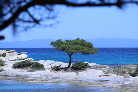 Griekse kust