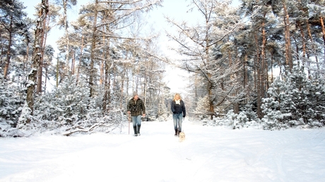 Winter wandeling