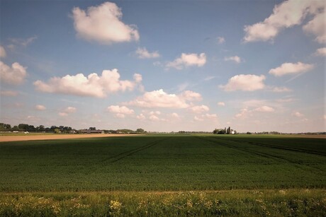 polder landschap