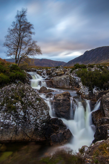 Sole tree overlooking Etive Mor