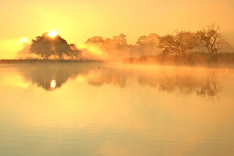 begin de dag met een foto
