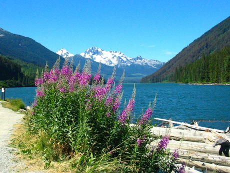 canada rocky mountains