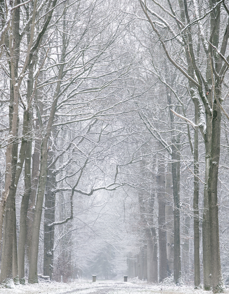 Sneeuw in Nederland