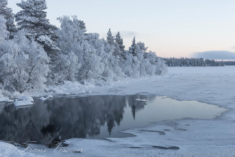 Winter in Kutuniva/Finland