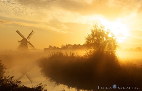 Windmill sunrise