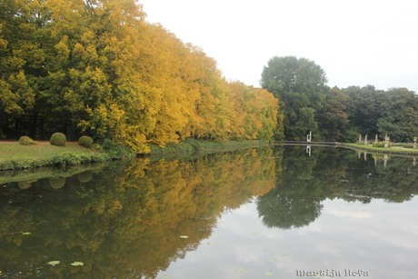 mooie spiegeling