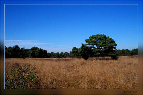 De Grote Heide...Heeze