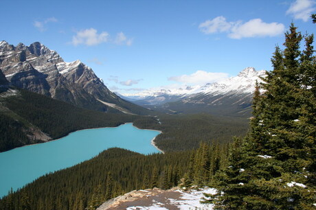 Banff Peyto Lake