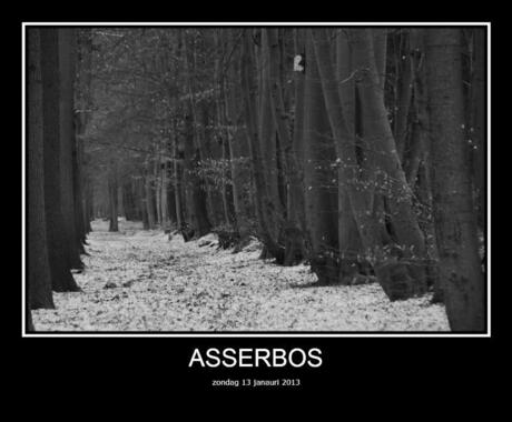 asserbos winter