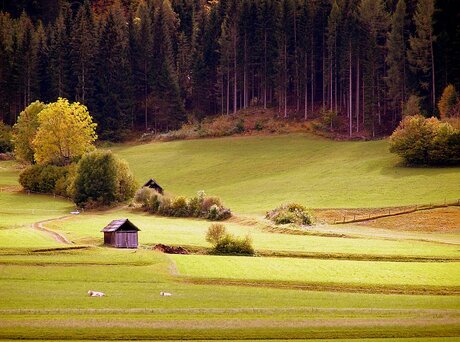 Herfst