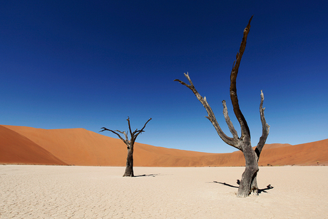 Deadvlei