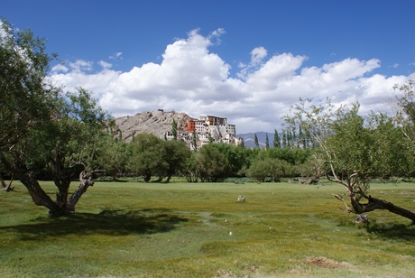 Spituk Monastry, Leh, India