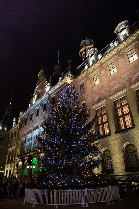 Kerstboom stadhuis Rotterdam