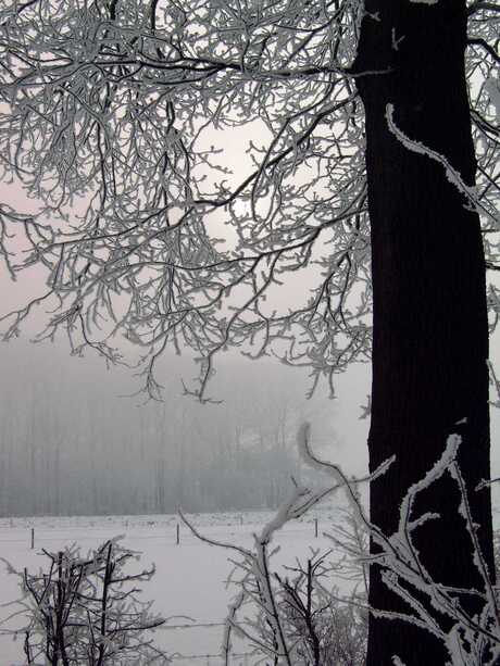 winter 2005